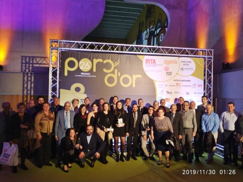 Premios Porc D'or 2019